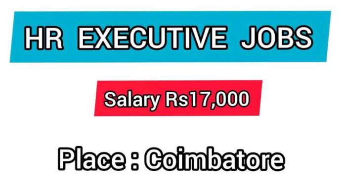 HR Executive Job 2024