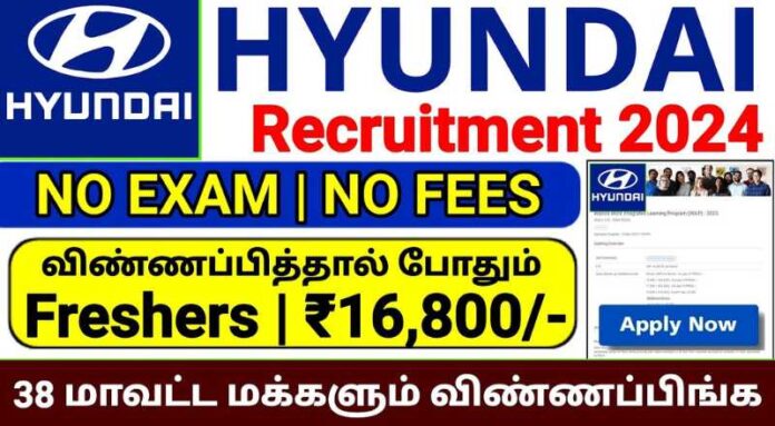 HYUNDAI Financial Services Job 2024