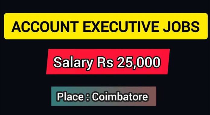 Accounts Executive Job 2024