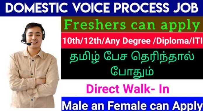 Domestic Voice Process Job 2024