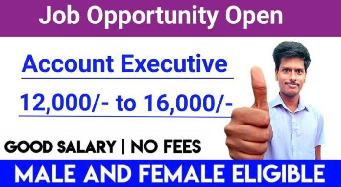 Accounts Executive Job 2024