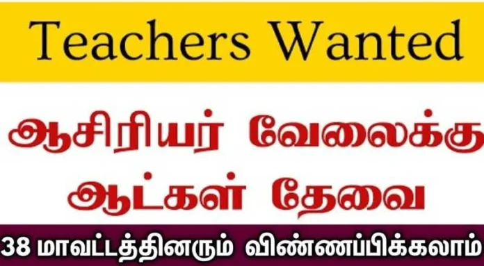 Teacher Job 2024