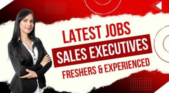 Sales Executive Job 2024