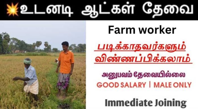 Farm Worker Job 2024