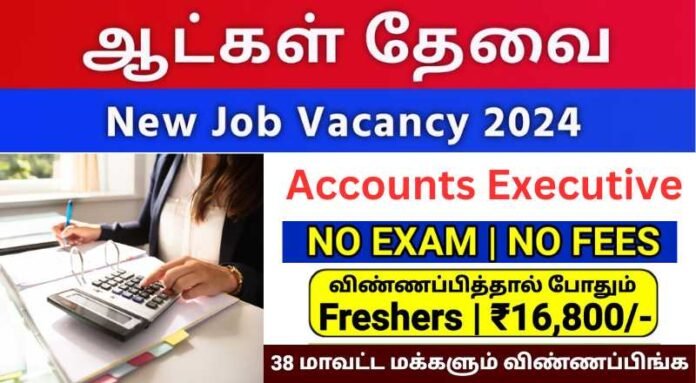 Accounts Executive Job 2024