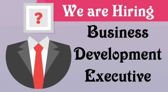 Business Development Executive Job 2024