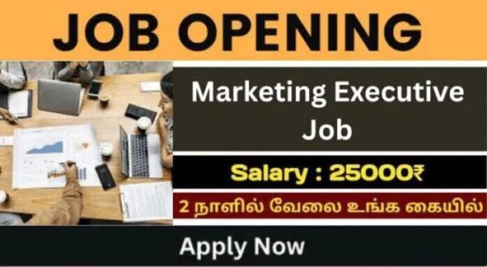 Marketing Executive Job 2024