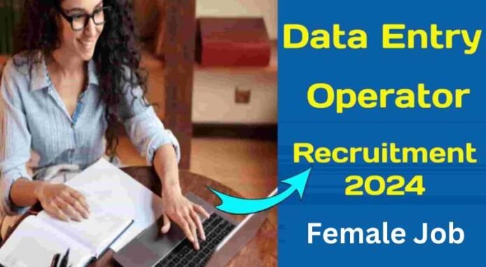 Data Entry Operator Job 2024