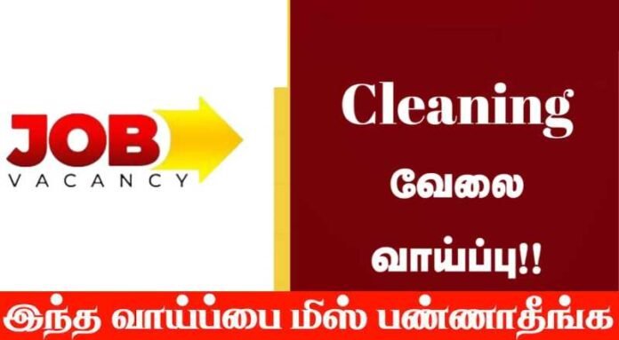 Cleaner Job 2024