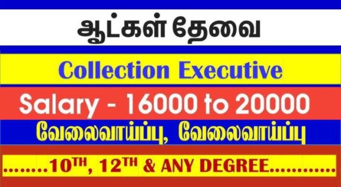 Collection Executive Job 2024