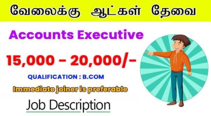 Accounts Executive Job 2024