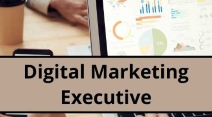 Digital Marketing Executive Job 2024