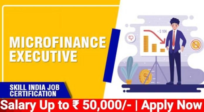 Microfinance Executive Job 2024