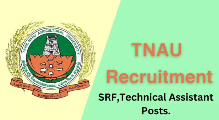 TNAU Coimbatore SRF Notification 2024