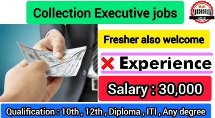 Collection Executive Job 2024