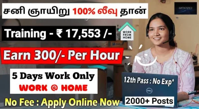 BDE Work From Home Job 2024