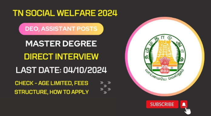 TN Social Welfare DEO Recruitment 2024