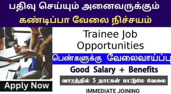 Trainee Job 2024