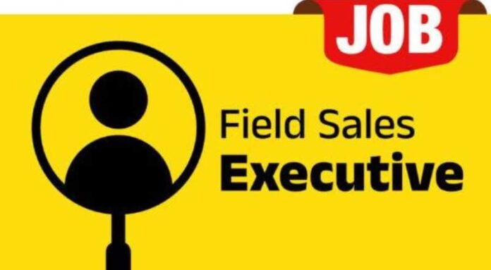 Area Sales Executive Job 2024