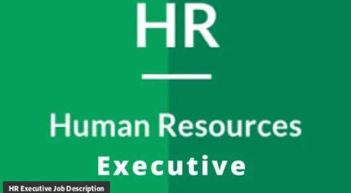 HR Executive Job 2024