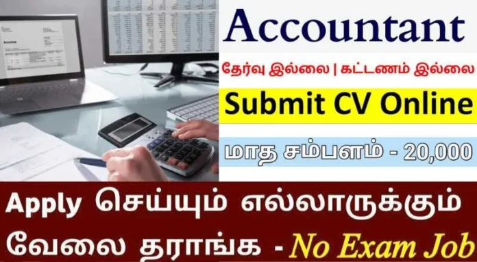 Account Assistant Job 2024