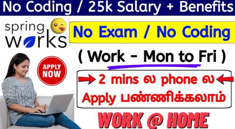 Springworks Support Internship in 2025