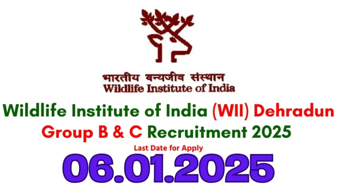 WII Recruitment 2025