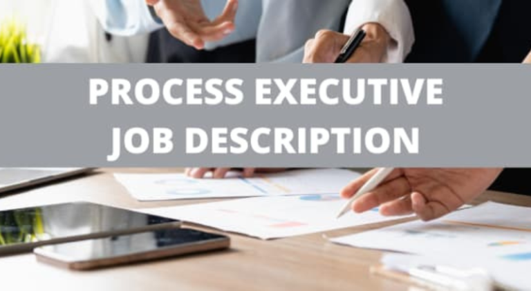 Process Executive Job In Chennai